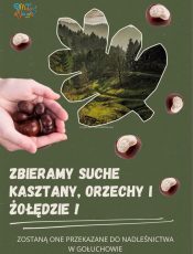 Zbiórka kasztanów, żołędzi i orzechów!