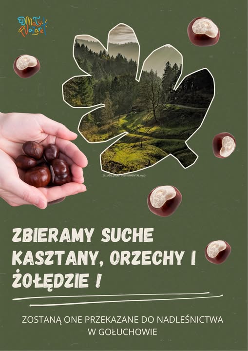 Zbiórka kasztanów, żołędzi i orzechów!